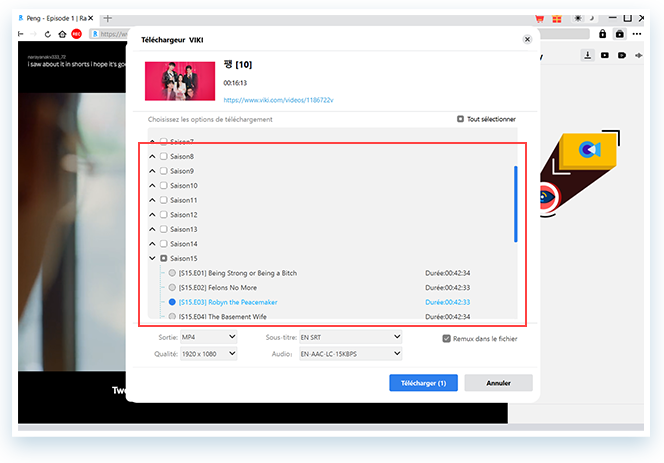 ViKi Downloader Step3
