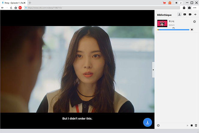ViKi Downloader Step4