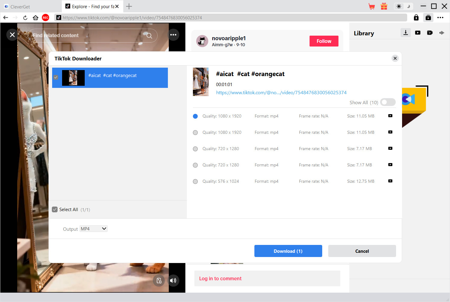 TikTok Downloader Step3