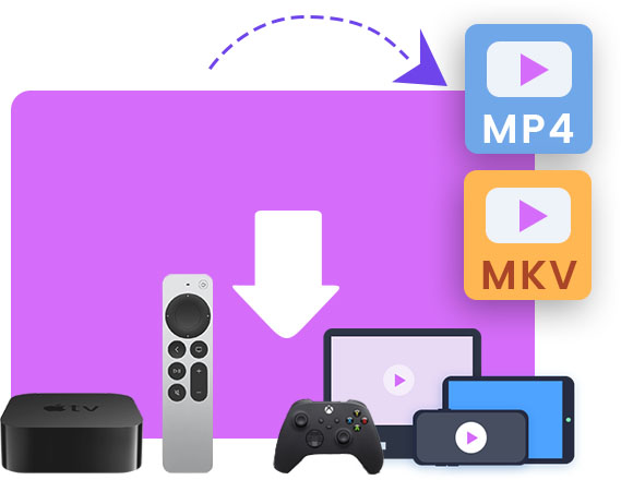 Udemy Downloader features