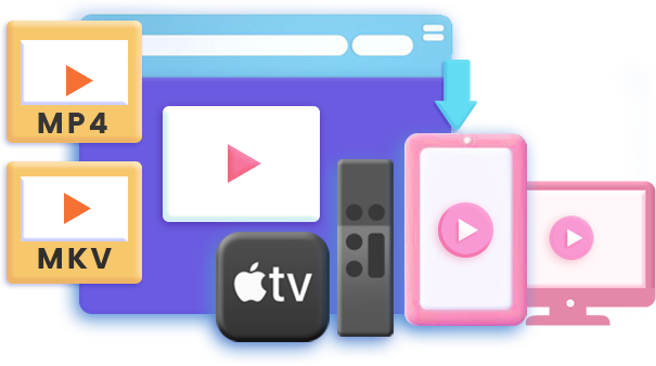 Streaming Video Recorder features