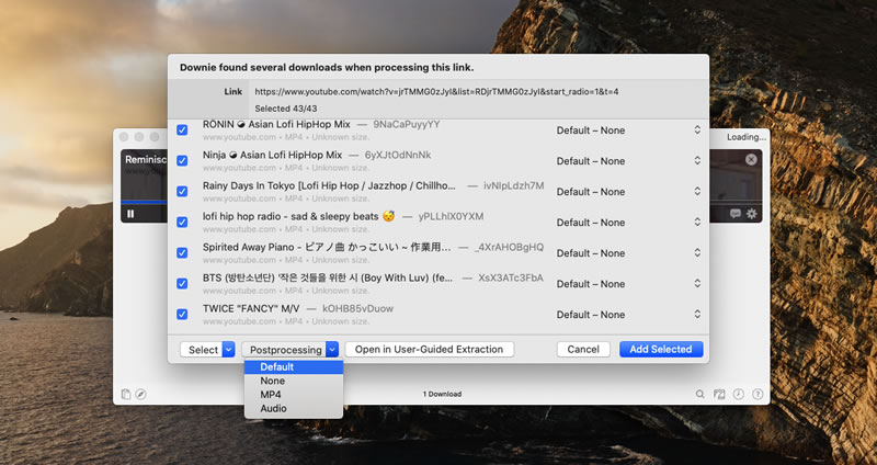 10-best-video-grabber-software-downie-7