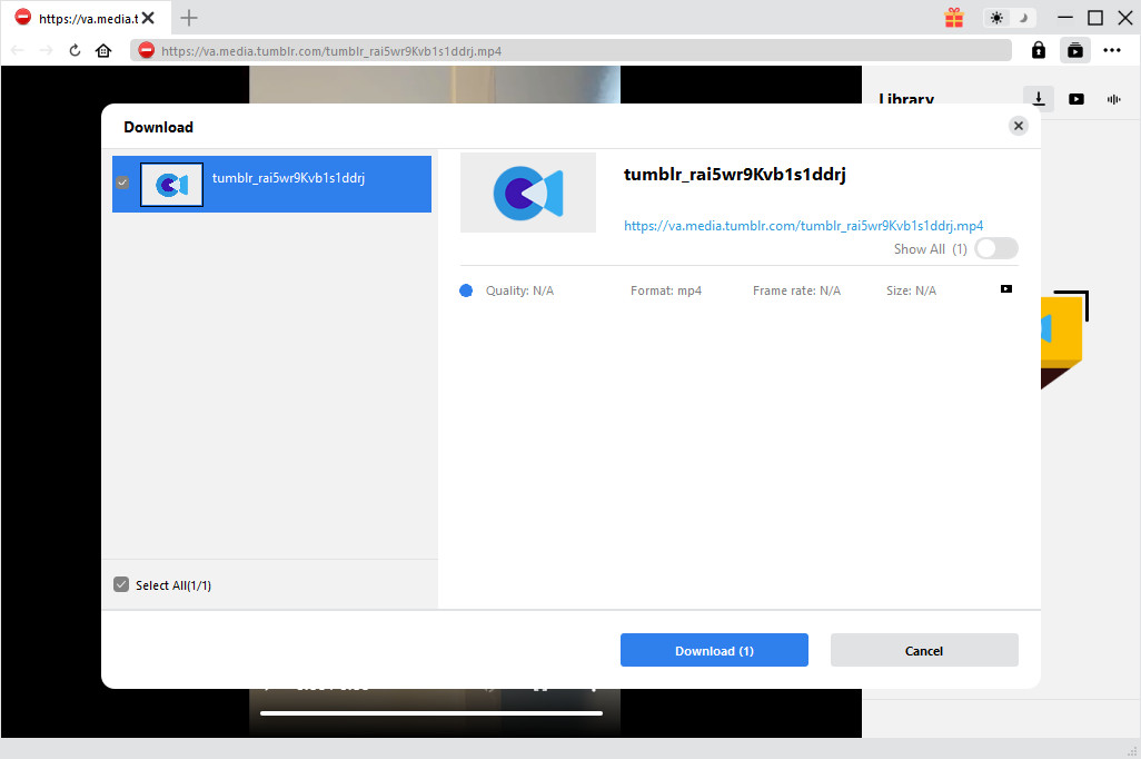 tumblr video downloader tumblr video downloader