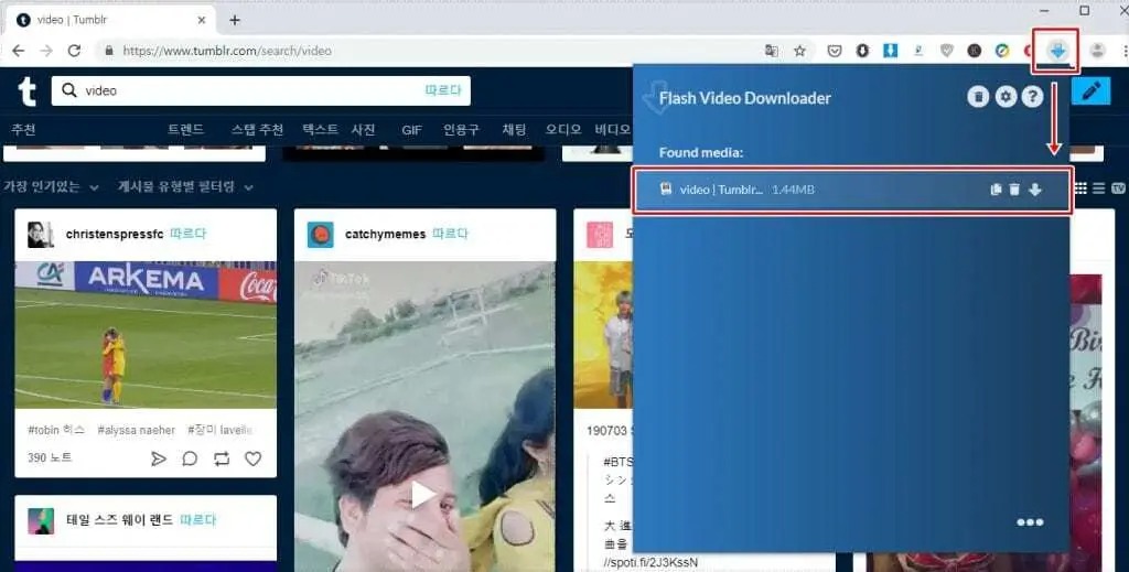 tumblr video downloader tumblr video downloader