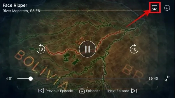   download-discovery-plus-cast-AirPlay 