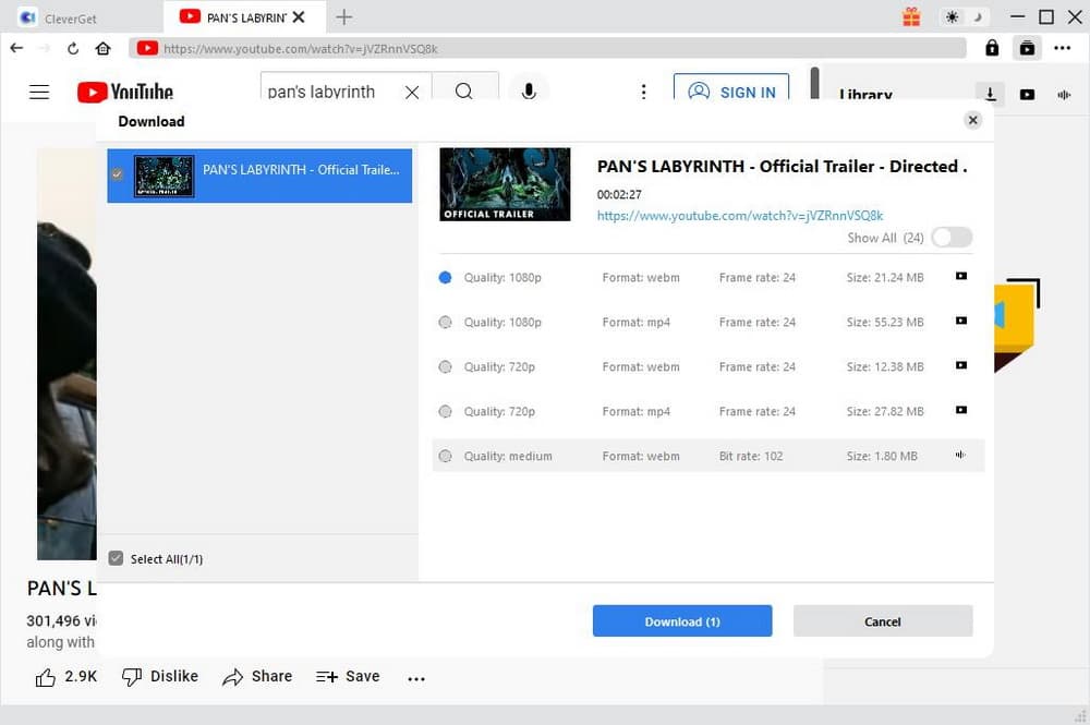 Download-Spanish-movies-with-CleverGet-2
