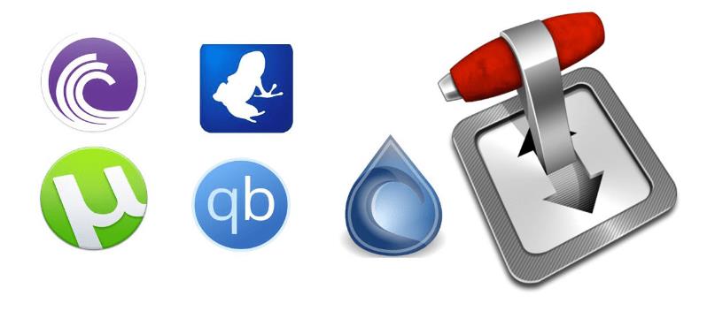 Install-a-BitTorrent-Software