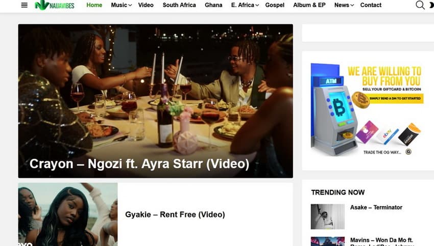 sites-like-waploaded-to-download-naijavibes-10