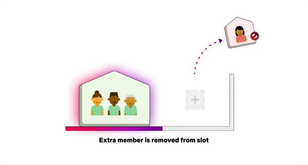 netflix extra member