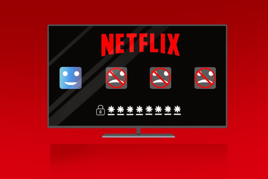 netflix extra member
