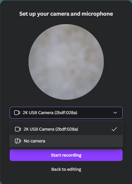 canva-present-record-3 canva-present-record-3